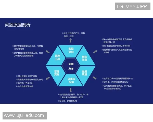 数据分析揭示V5团队协作表现的关键因素与提升策略
