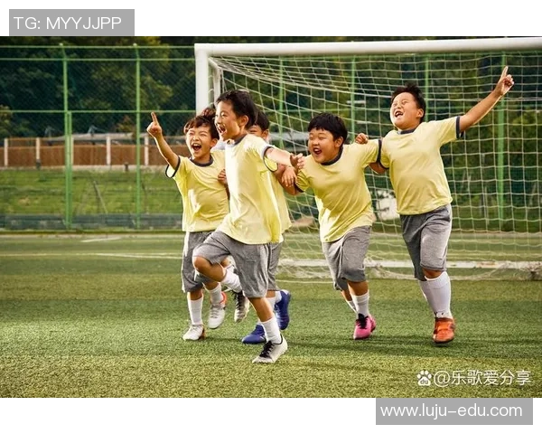 樊晨足球：探索足球的魅力与激情，带你领略赛场上的精彩瞬间与团队精神