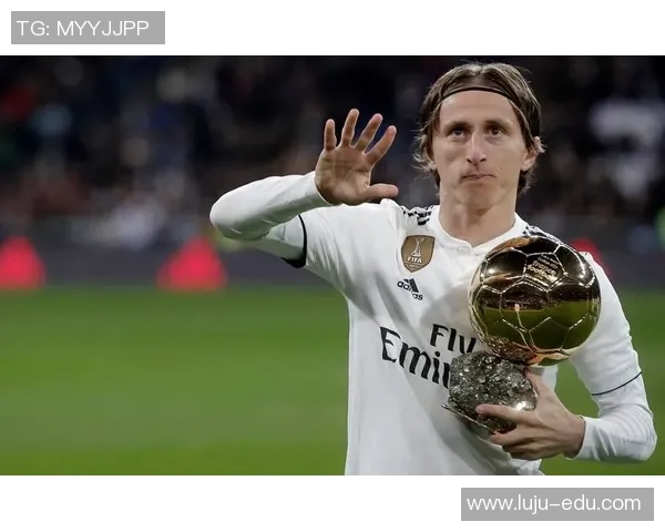 足球明星成就与荣誉一览全图解读与分析