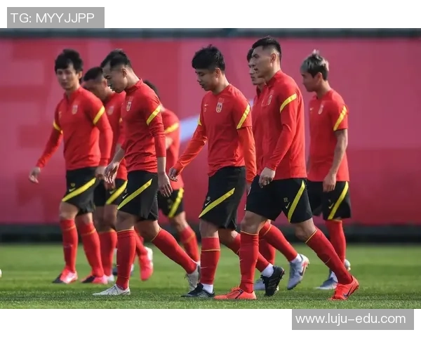 足球明星武磊近期动态分析与未来发展展望